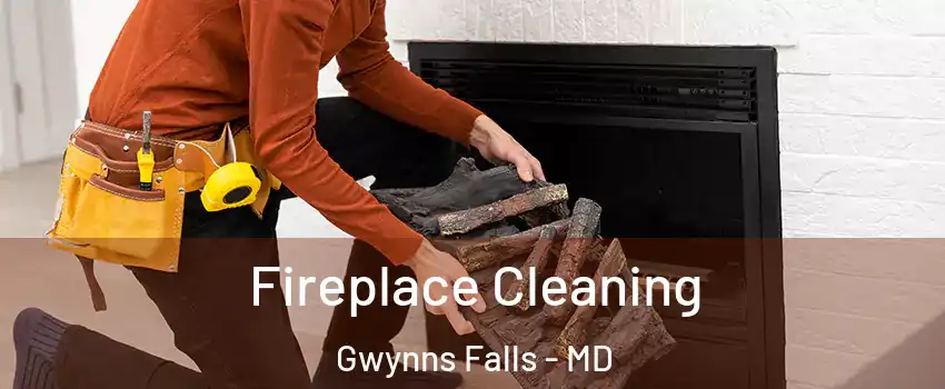 Fireplace Cleaning Gwynns Falls - MD