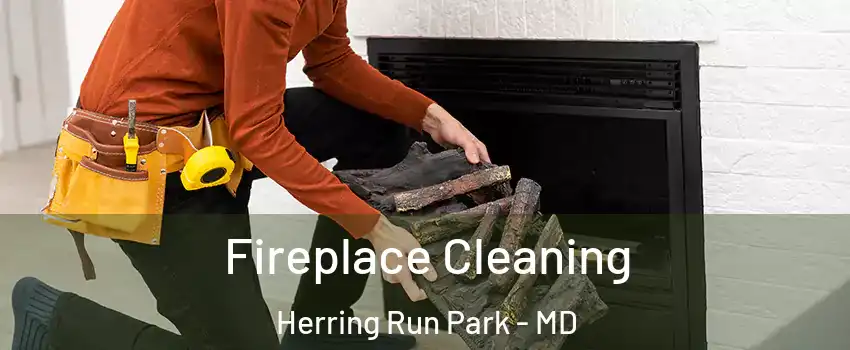Fireplace Cleaning Herring Run Park - MD