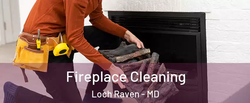 Fireplace Cleaning Loch Raven - MD