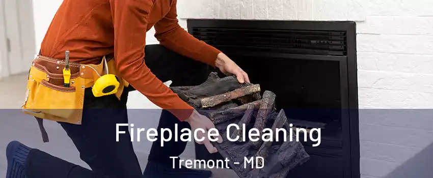 Fireplace Cleaning Tremont - MD