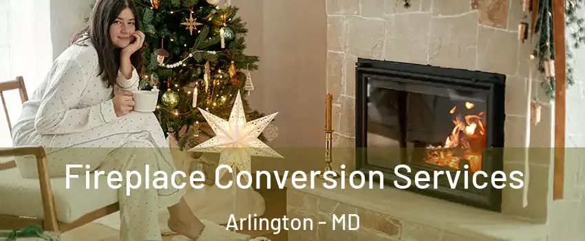 Fireplace Conversion Services Arlington - MD