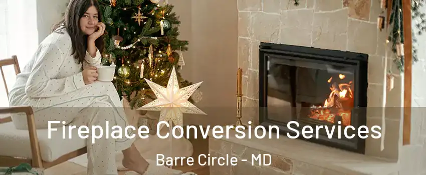 Fireplace Conversion Services Barre Circle - MD