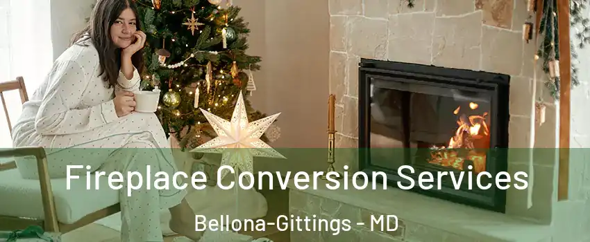 Fireplace Conversion Services Bellona-Gittings - MD