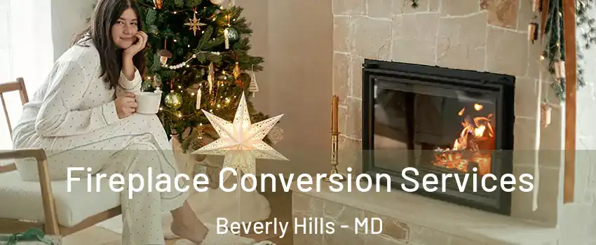 Fireplace Conversion Services Beverly Hills - MD