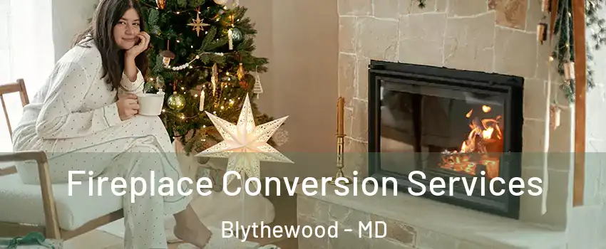 Fireplace Conversion Services Blythewood - MD