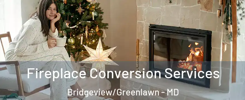 Fireplace Conversion Services Bridgeview/Greenlawn - MD