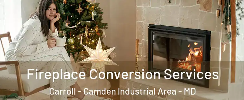 Fireplace Conversion Services Carroll - Camden Industrial Area - MD