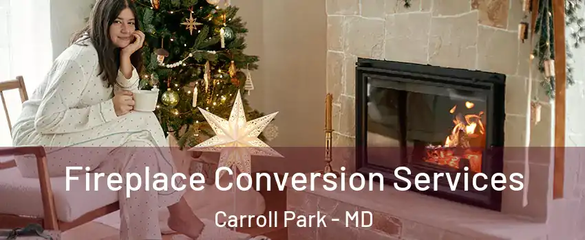 Fireplace Conversion Services Carroll Park - MD