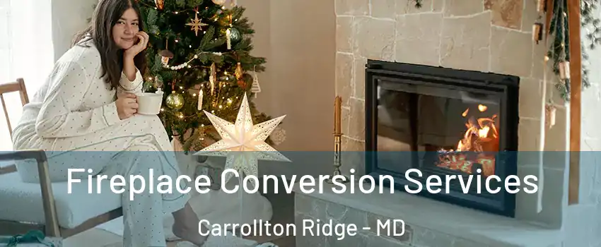 Fireplace Conversion Services Carrollton Ridge - MD