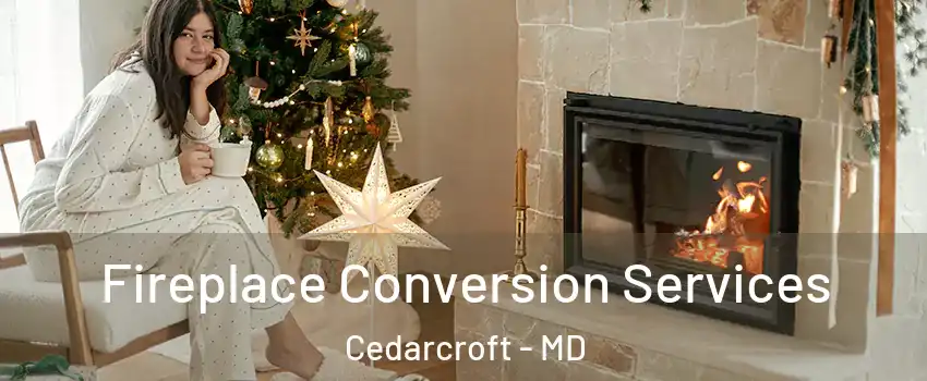 Fireplace Conversion Services Cedarcroft - MD