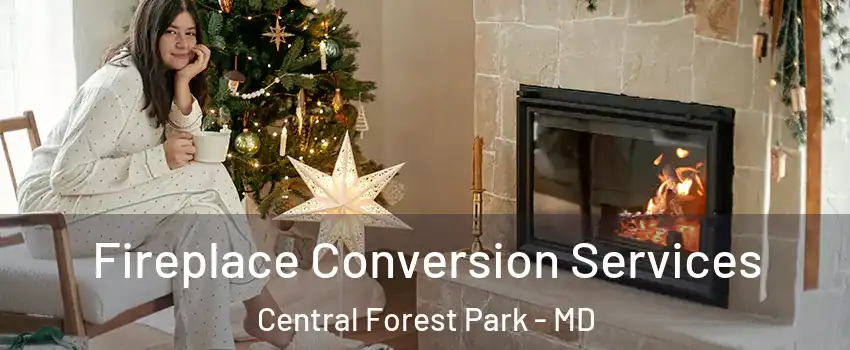 Fireplace Conversion Services Central Forest Park - MD