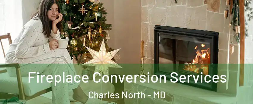 Fireplace Conversion Services Charles North - MD