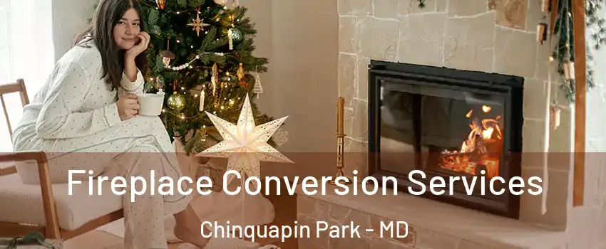 Fireplace Conversion Services Chinquapin Park - MD