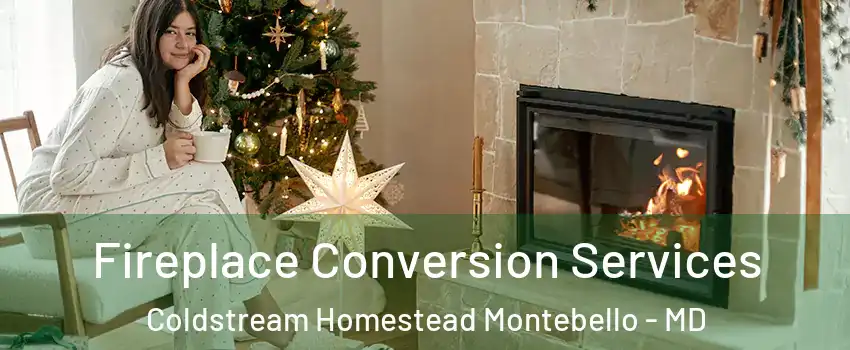 Fireplace Conversion Services Coldstream Homestead Montebello - MD