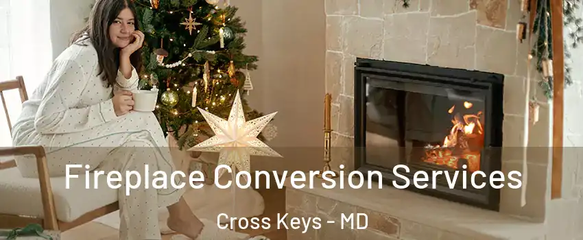 Fireplace Conversion Services Cross Keys - MD