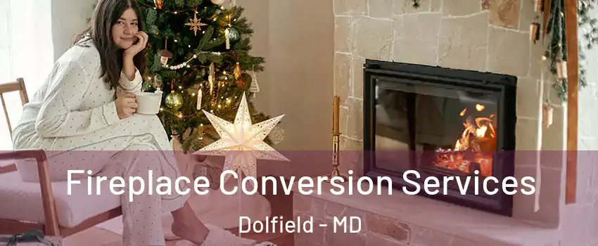 Fireplace Conversion Services Dolfield - MD