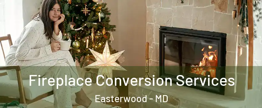 Fireplace Conversion Services Easterwood - MD