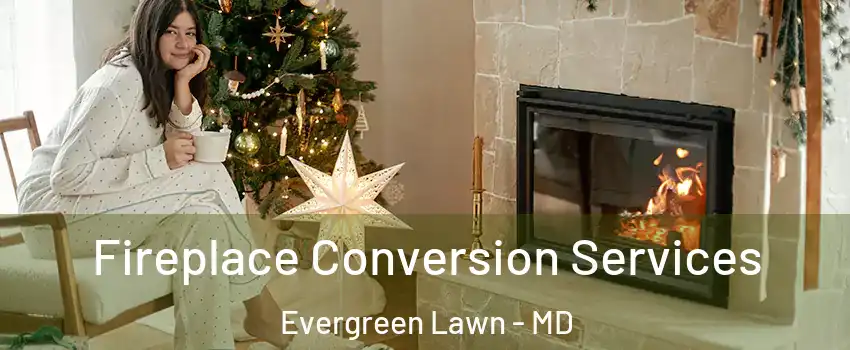 Fireplace Conversion Services Evergreen Lawn - MD