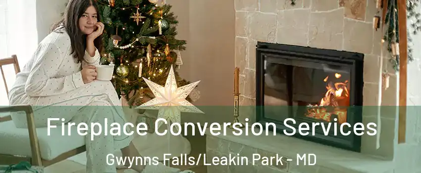 Fireplace Conversion Services Gwynns Falls/Leakin Park - MD