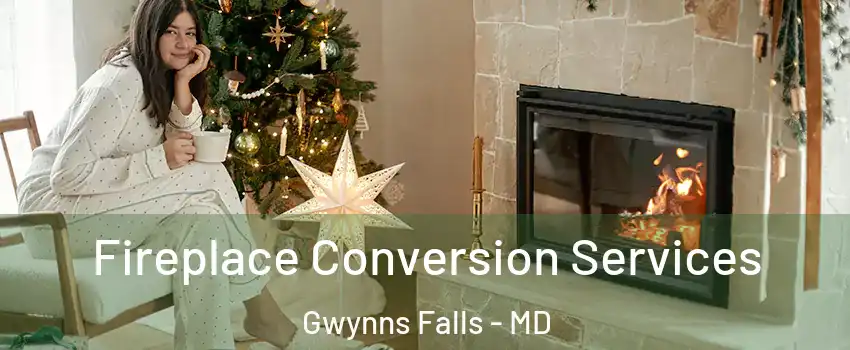 Fireplace Conversion Services Gwynns Falls - MD