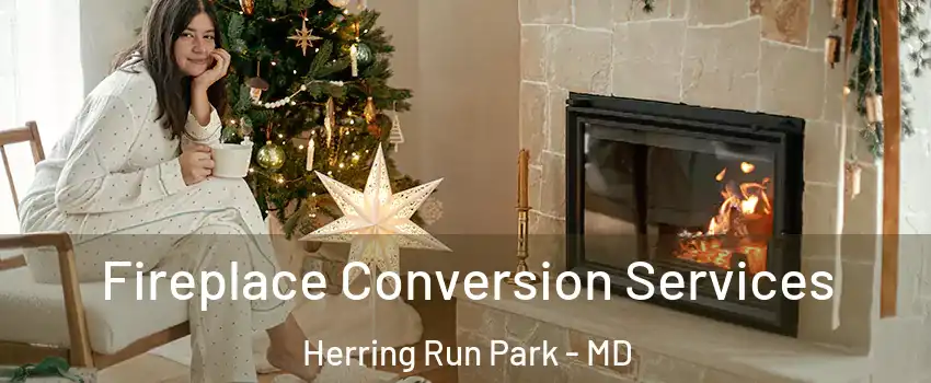 Fireplace Conversion Services Herring Run Park - MD