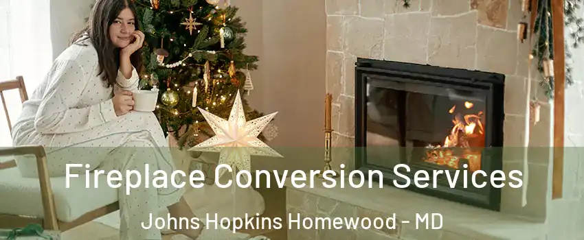 Fireplace Conversion Services Johns Hopkins Homewood - MD