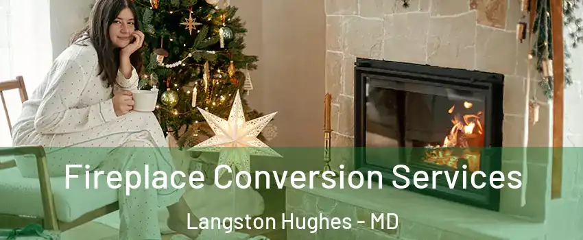 Fireplace Conversion Services Langston Hughes - MD