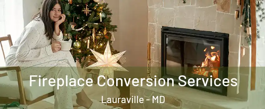 Fireplace Conversion Services Lauraville - MD