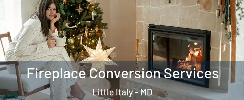 Fireplace Conversion Services Little Italy - MD