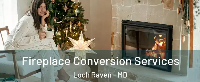 Fireplace Conversion Services Loch Raven - MD