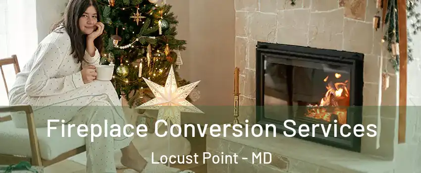 Fireplace Conversion Services Locust Point - MD