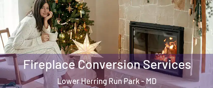 Fireplace Conversion Services Lower Herring Run Park - MD