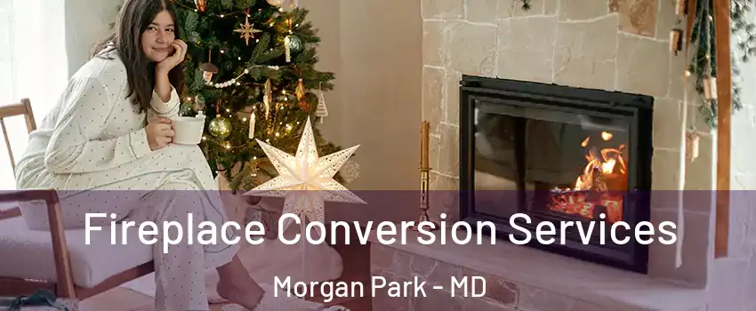 Fireplace Conversion Services Morgan Park - MD