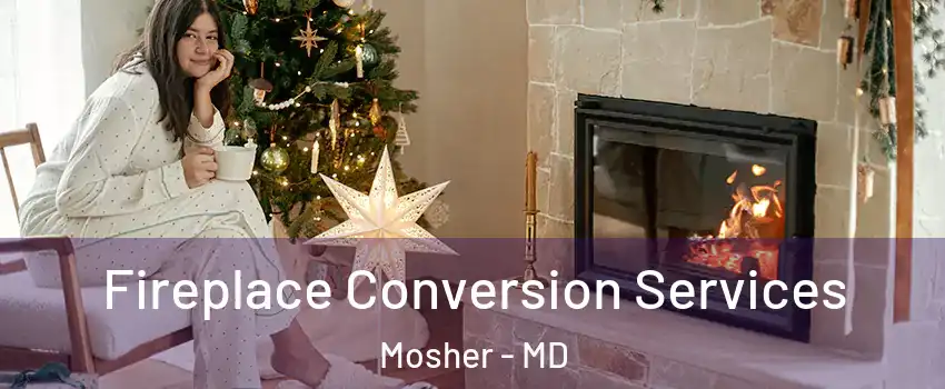 Fireplace Conversion Services Mosher - MD