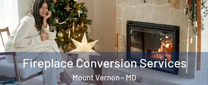 Fireplace Conversion Services Mount Vernon - MD