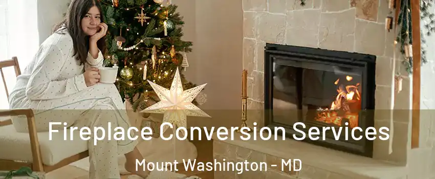 Fireplace Conversion Services Mount Washington - MD