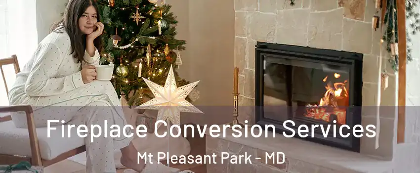 Fireplace Conversion Services Mt Pleasant Park - MD