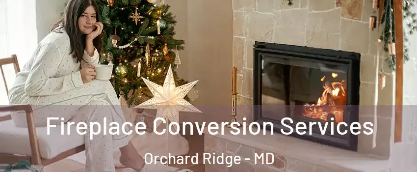 Fireplace Conversion Services Orchard Ridge - MD