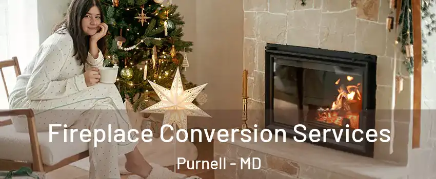 Fireplace Conversion Services Purnell - MD