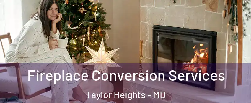 Fireplace Conversion Services Taylor Heights - MD