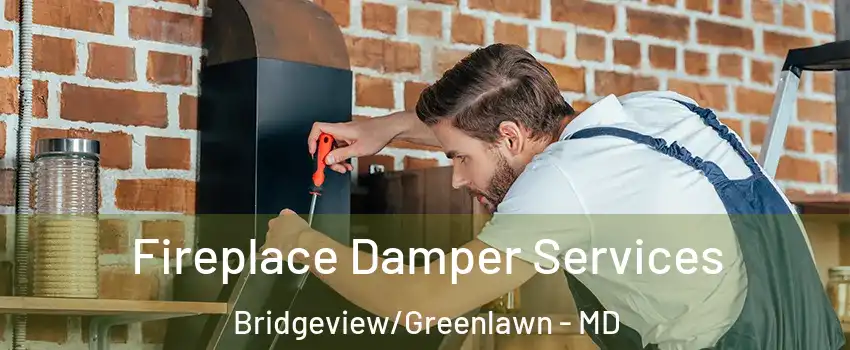 Fireplace Damper Services Bridgeview/Greenlawn - MD