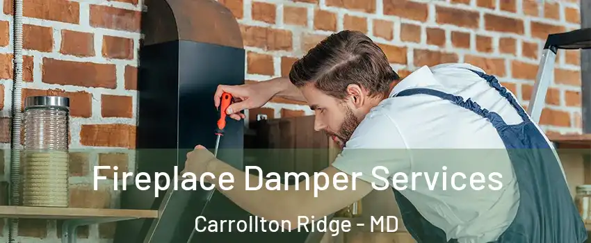 Fireplace Damper Services Carrollton Ridge - MD