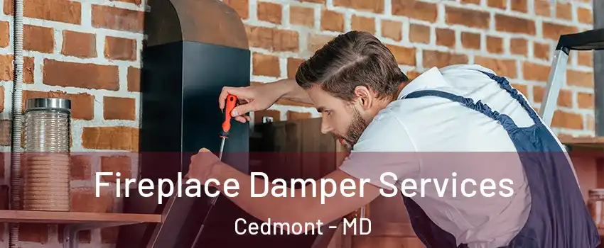 Fireplace Damper Services Cedmont - MD