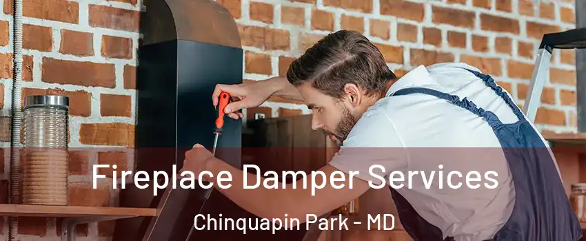 Fireplace Damper Services Chinquapin Park - MD