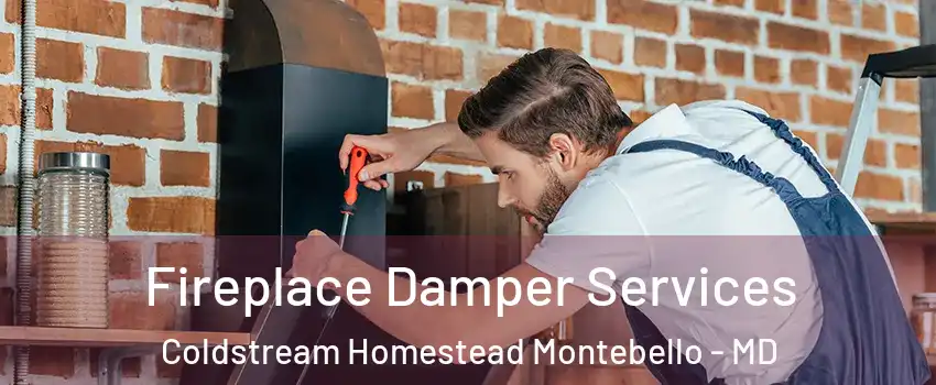 Fireplace Damper Services Coldstream Homestead Montebello - MD