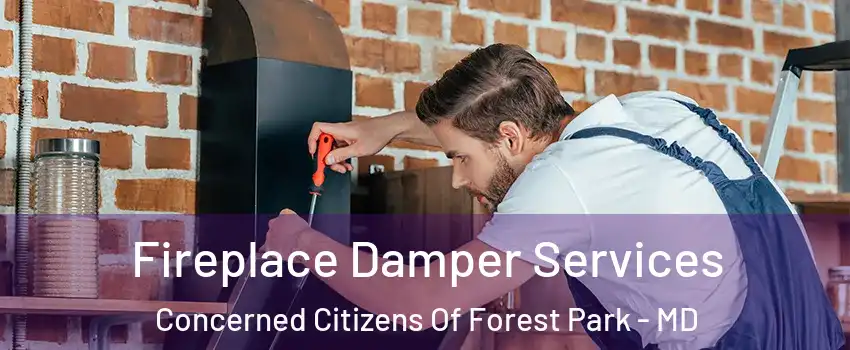 Fireplace Damper Services Concerned Citizens Of Forest Park - MD