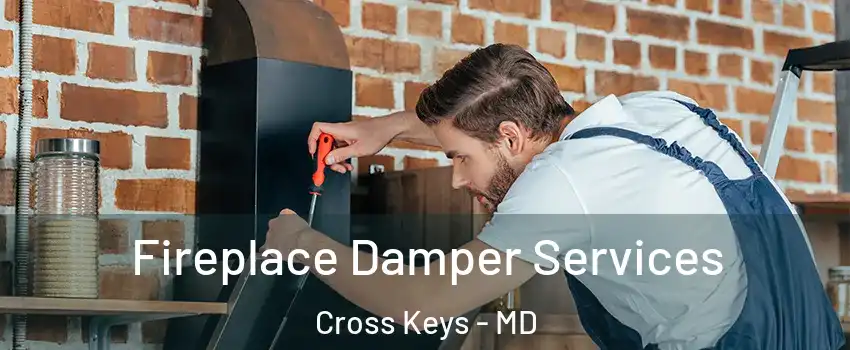 Fireplace Damper Services Cross Keys - MD