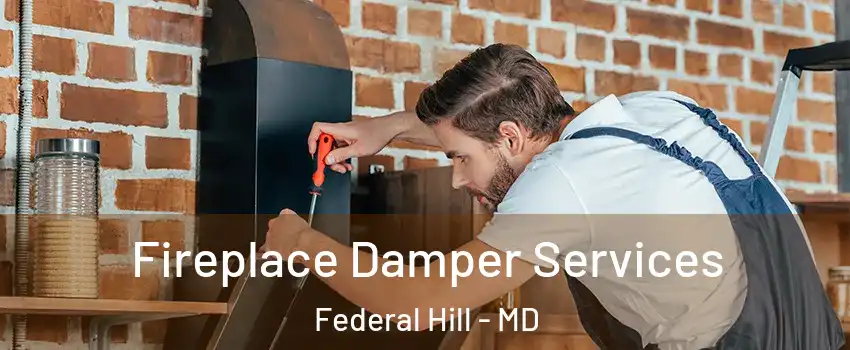 Fireplace Damper Services Federal Hill - MD