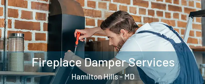 Fireplace Damper Services Hamilton Hills - MD