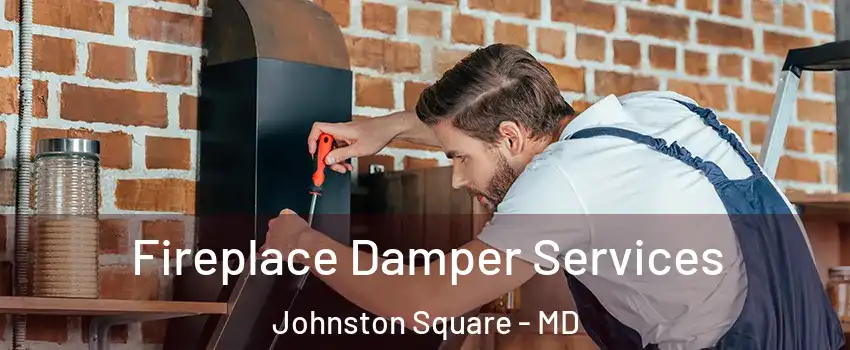 Fireplace Damper Services Johnston Square - MD